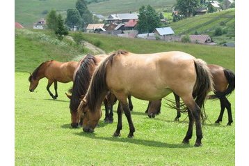 Slovacia Chata Lom nad Rimavicou, Exteriorul